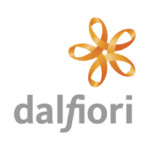 Dalfiori