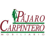 Pajaro Carpintero